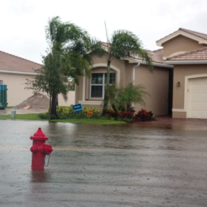 Blog well has flooded Untitled design 16 Coomers Well & Pump well has flooded