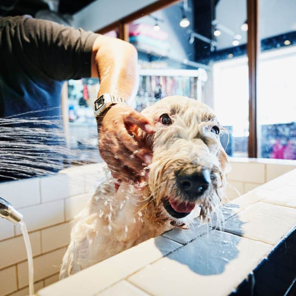 pump repair asheville nc